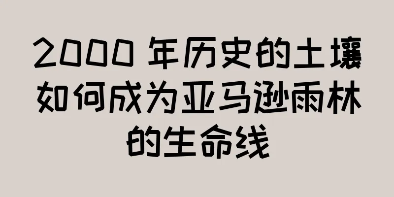 2000 年历史的土壤如何成为亚马逊雨林的生命线
