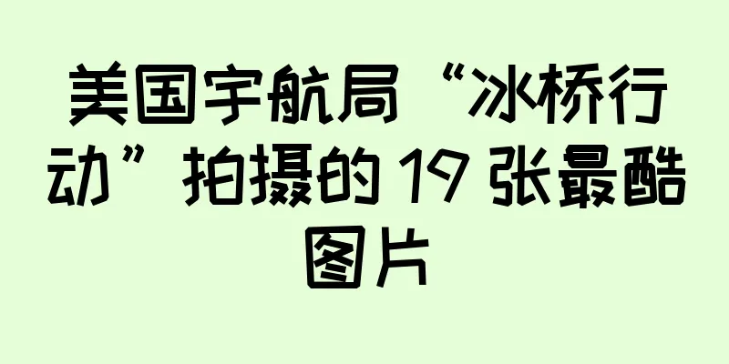 美国宇航局“冰桥行动”拍摄的 19 张最酷图片