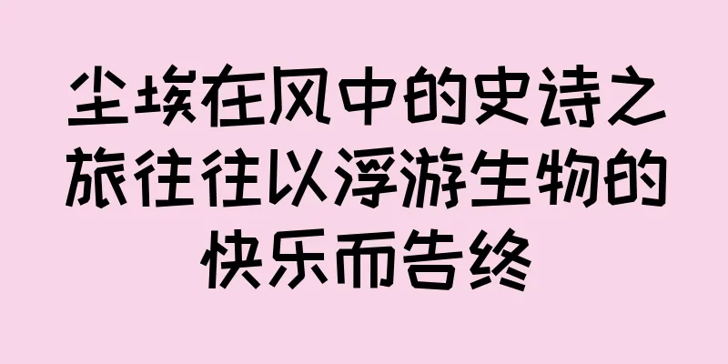 尘埃在风中的史诗之旅往往以浮游生物的快乐而告终