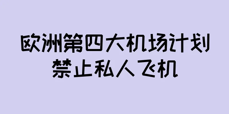 欧洲第四大机场计划禁止私人飞机