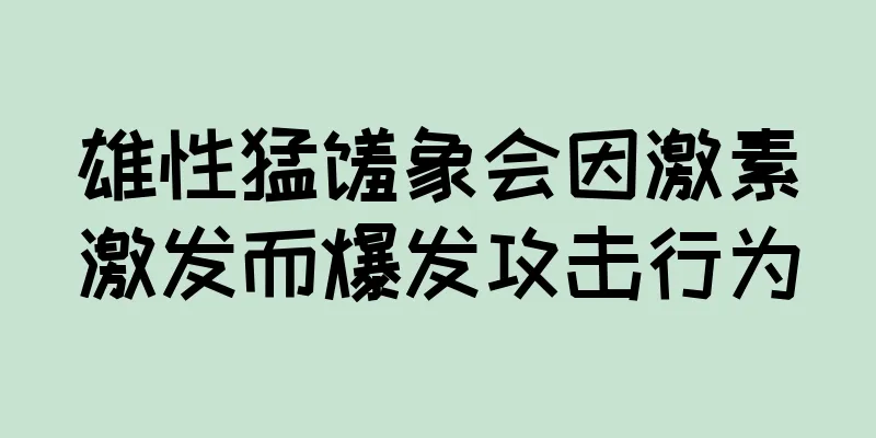 雄性猛犸象会因激素激发而爆发攻击行为