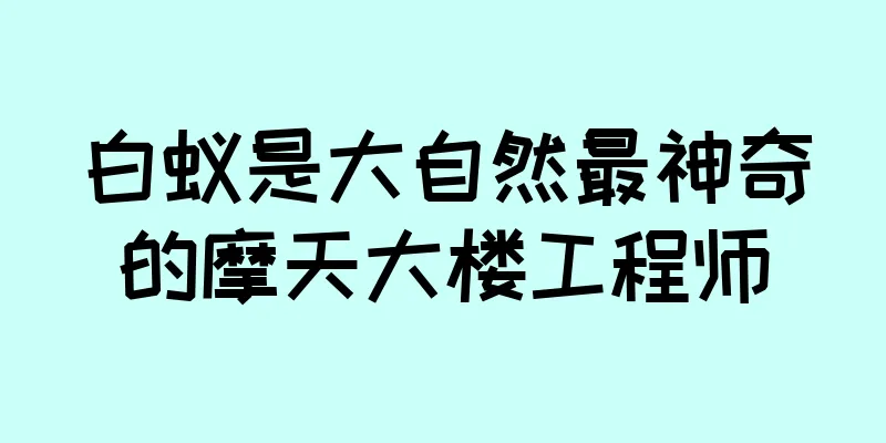 白蚁是大自然最神奇的摩天大楼工程师