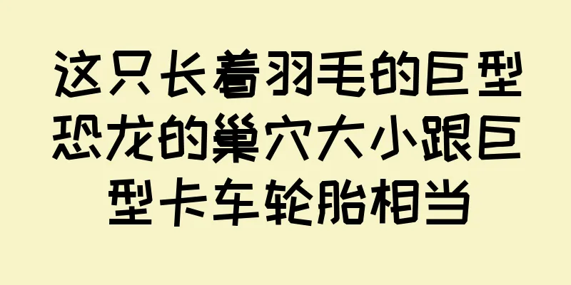 这只长着羽毛的巨型恐龙的巢穴大小跟巨型卡车轮胎相当