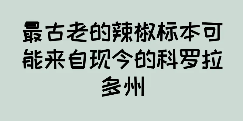 最古老的辣椒标本可能来自现今的科罗拉多州