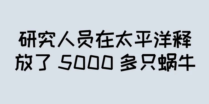 研究人员在太平洋释放了 5000 多只蜗牛