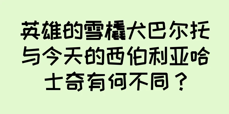 英雄的雪橇犬巴尔托与今天的西伯利亚哈士奇有何不同？