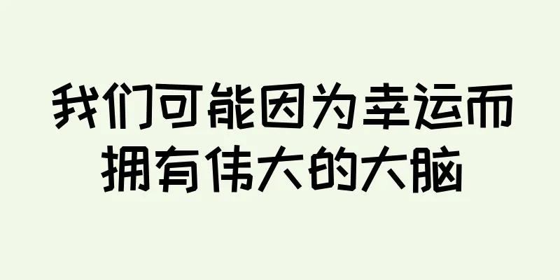 我们可能因为幸运而拥有伟大的大脑