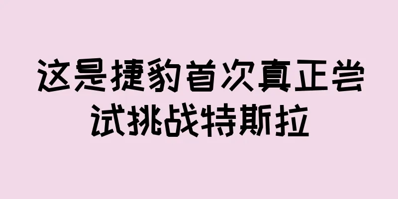 这是捷豹首次真正尝试挑战特斯拉