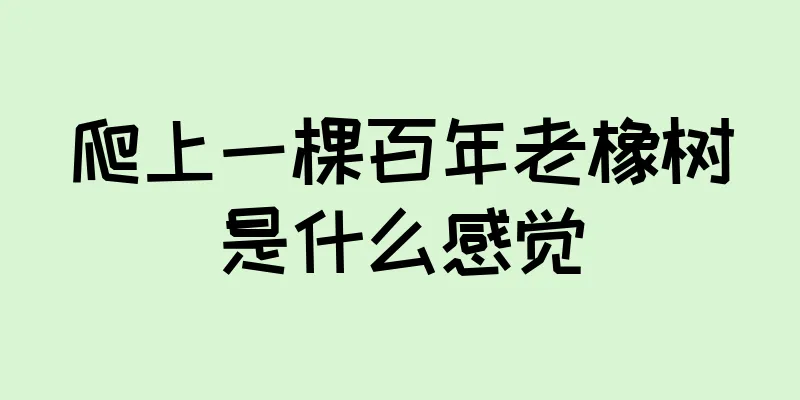 爬上一棵百年老橡树是什么感觉