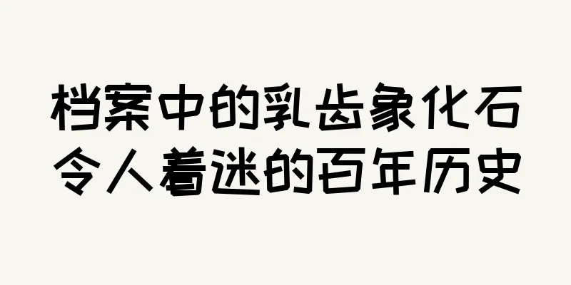 档案中的乳齿象化石令人着迷的百年历史