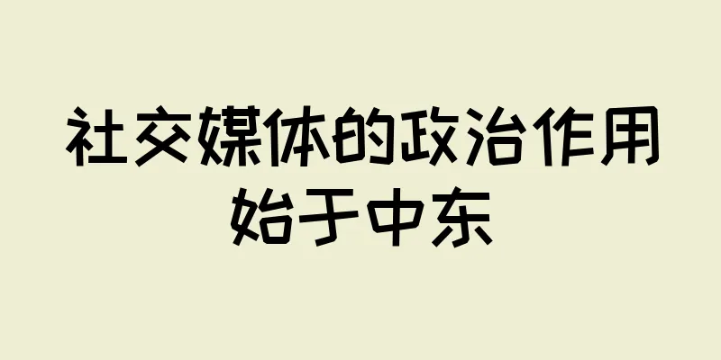 社交媒体的政治作用始于中东
