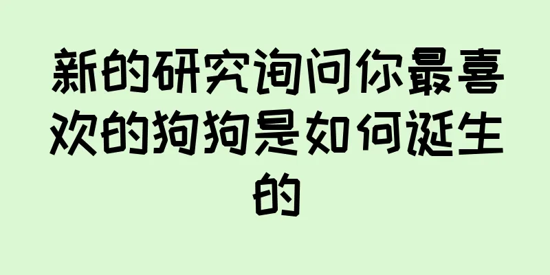 新的研究询问你最喜欢的狗狗是如何诞生的