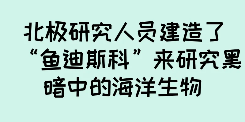 北极研究人员建造了“鱼迪斯科”来研究黑暗中的海洋生物