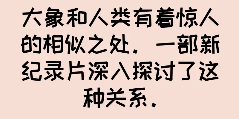 大象和人类有着惊人的相似之处。一部新纪录片深入探讨了这种关系。