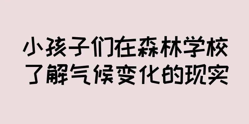 小孩子们在森林学校了解气候变化的现实