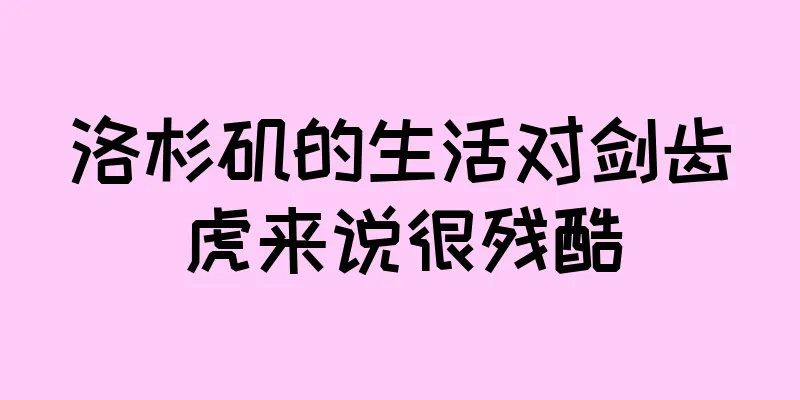 洛杉矶的生活对剑齿虎来说很残酷