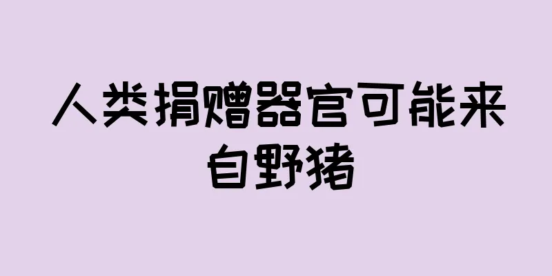 人类捐赠器官可能来自野猪