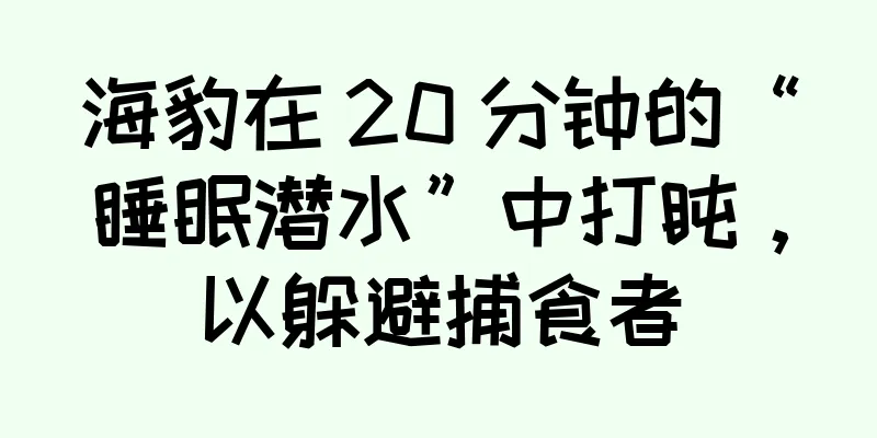 海豹在 20 分钟的“睡眠潜水”中打盹，以躲避捕食者