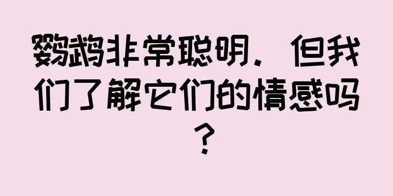 鹦鹉非常聪明。但我们了解它们的情感吗？
