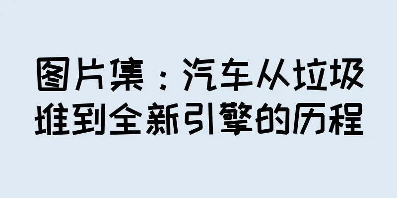 图片集：汽车从垃圾堆到全新引擎的历程