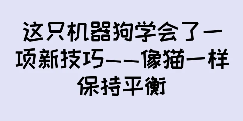 这只机器狗学会了一项新技巧——像猫一样保持平衡