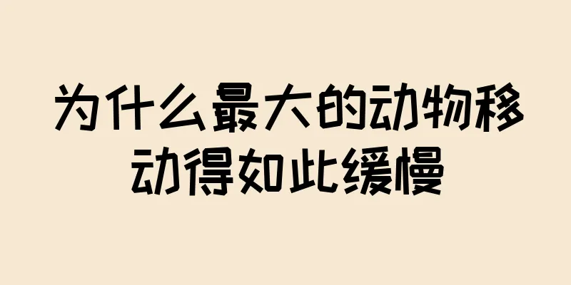 为什么最大的动物移动得如此缓慢