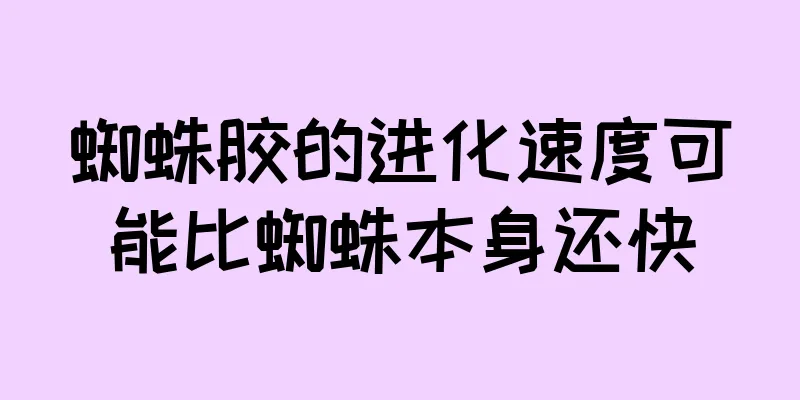 蜘蛛胶的进化速度可能比蜘蛛本身还快