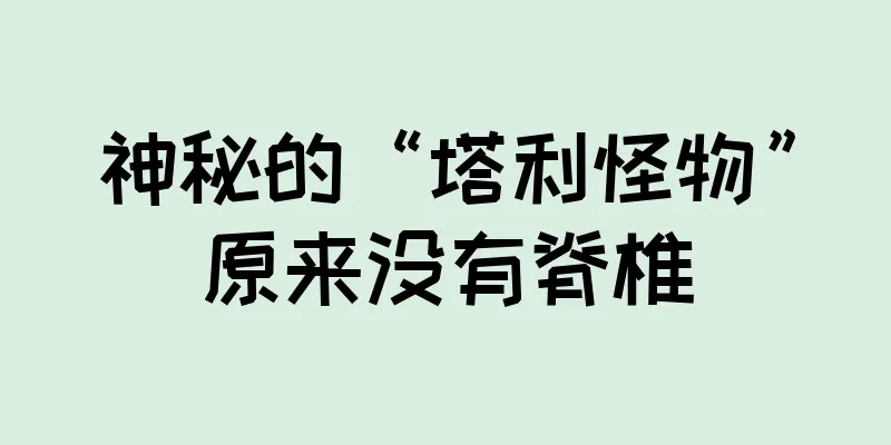 神秘的“塔利怪物”原来没有脊椎