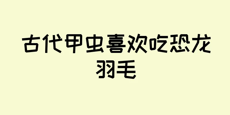 古代甲虫喜欢吃恐龙羽毛
