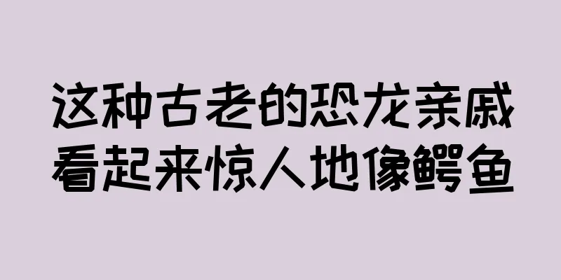 这种古老的恐龙亲戚看起来惊人地像鳄鱼