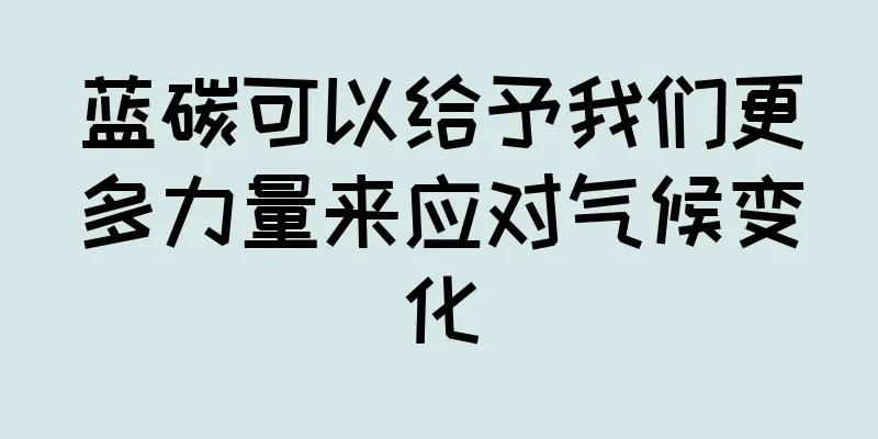 蓝碳可以给予我们更多力量来应对气候变化