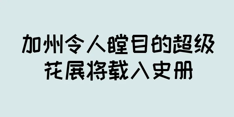 加州令人瞠目的超级花展将载入史册