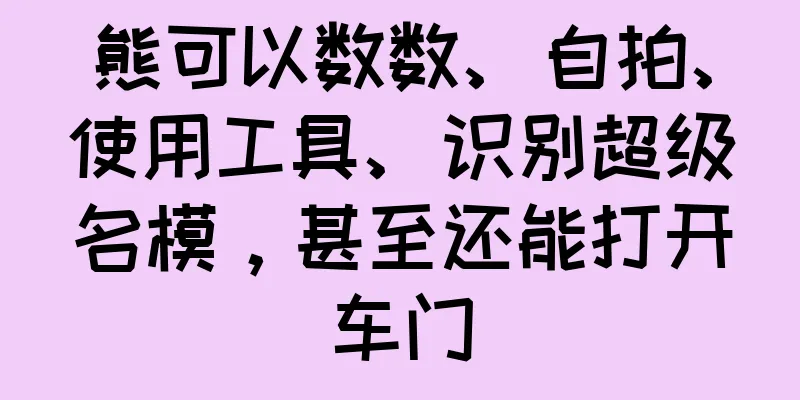 熊可以数数、自拍、使用工具、识别超级名模，甚至还能打开车门