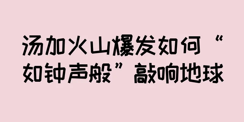 汤加火山爆发如何“如钟声般”敲响地球