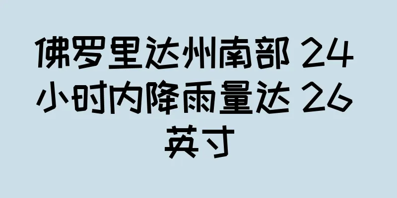 佛罗里达州南部 24 小时内降雨量达 26 英寸