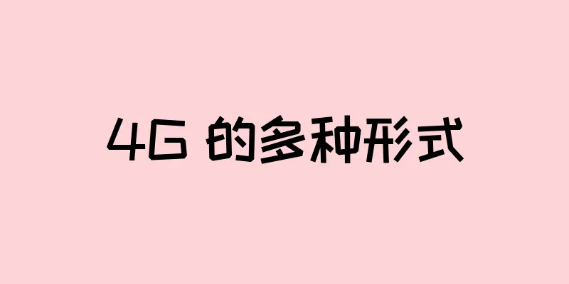 4G 的多种形式