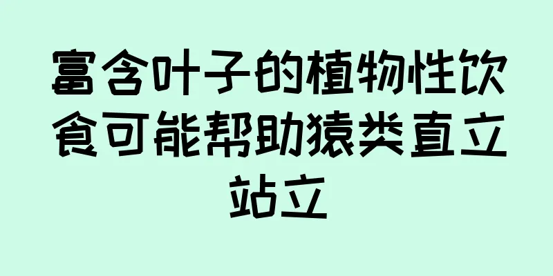 富含叶子的植物性饮食可能帮助猿类直立站立