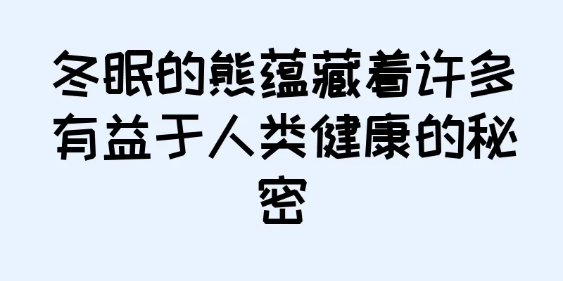冬眠的熊蕴藏着许多有益于人类健康的秘密