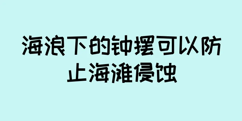 海浪下的钟摆可以防止海滩侵蚀