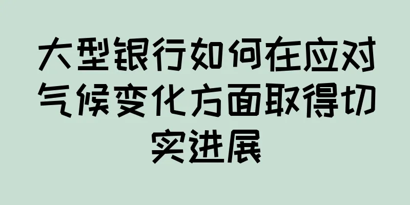 大型银行如何在应对气候变化方面取得切实进展