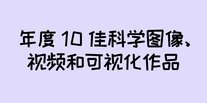 年度 10 佳科学图像、视频和可视化作品
