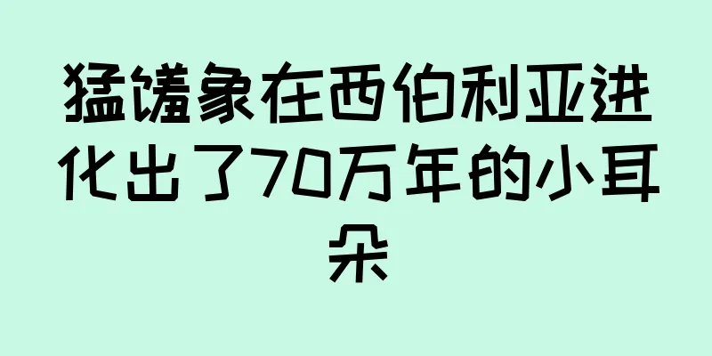 猛犸象在西伯利亚进化出了70万年的小耳朵