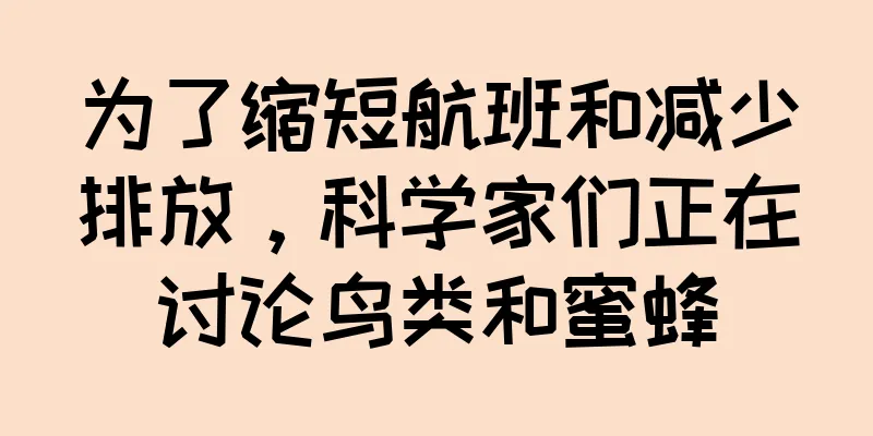 为了缩短航班和减少排放，科学家们正在讨论鸟类和蜜蜂