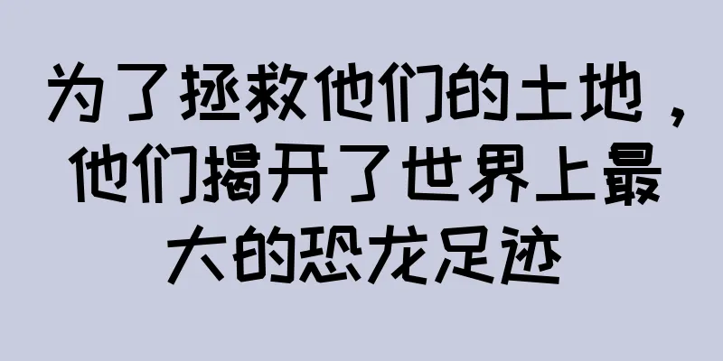 为了拯救他们的土地，他们揭开了世界上最大的恐龙足迹