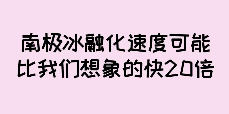 南极冰融化速度可能比我们想象的快20倍