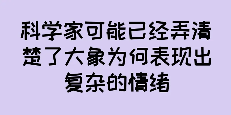 科学家可能已经弄清楚了大象为何表现出复杂的情绪