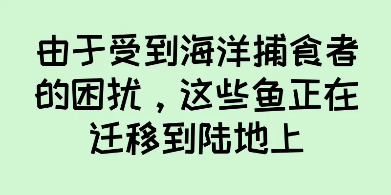 由于受到海洋捕食者的困扰，这些鱼正在迁移到陆地上