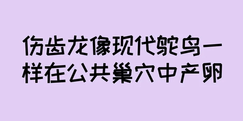 伤齿龙像现代鸵鸟一样在公共巢穴中产卵