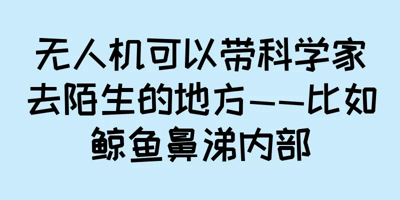 无人机可以带科学家去陌生的地方——比如鲸鱼鼻涕内部