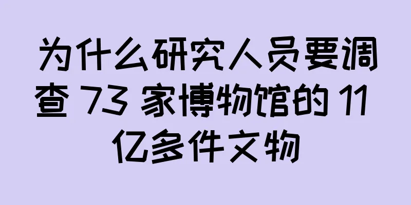 为什么研究人员要调查 73 家博物馆的 11 亿多件文物